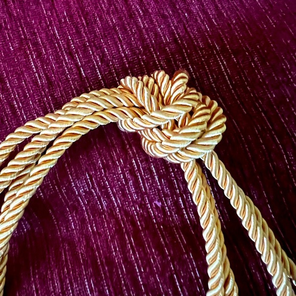 🎓 Graduation Bundle 2 Gold Cords and NSHSS Scholar Sticker 🎓 - Picture 5 of 6